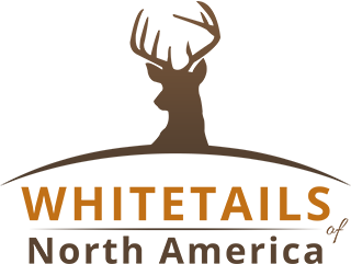 Whitetails of North America